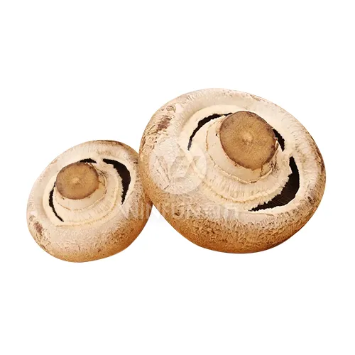Fresh Portobello Mushrooms